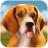 icon Dog Home(Rumah Anjing) 1.2.9