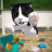 icon Cat Sim(Cat Simulator - Cerita anak kucing) 5.4.1
