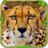 icon Furious Cheetah Simulator(Cheetah Simulator Cheetah Game) 1.1