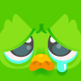 icon com.duolingo