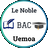 icon 1.0