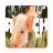 icon Ranch Simulator Free Advices(Ranch Simulator Saran Gratis
) 1.0