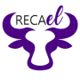 icon RECAel