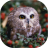 icon Owls live wallpaper(Owls Live Wallpaper) 4.0