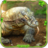 icon Kamodo Dragon Simulator(Komodo Dragon : Dragon Games) 8.1