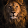 icon Lion Sounds(Suara Singa dan Ringtone)