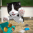 icon Cat Sim(Cat Simulator - Cerita anak kucing) 5.0.8