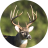 icon Whitetail Deer Calls 5.2.0