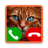 icon Fake Call Cat Game(permainan kucing panggilan palsu) 8.0