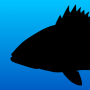icon Fish Rules(Aturan Ikan: Aplikasi Memancing)