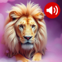 icon Animal Sounds(Suara Hewan)