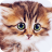 icon 7Fon Cute Animals(Wallpaper Wallpaper Hewan Lucu 4K) 5.7.91