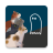 icon Cats Who Stare At Ghosts(Kucing Yang Menatap Hantu) 1.1.10