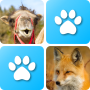 icon Pairs Animals(Pasangan: Hewan)