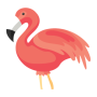 icon Flamingo Animator (Flamingo Animator
)