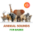 icon com.silkairtechasia.animalsounds(Hewan gratis suara untuk bayi: nama panggilan binatang
) 1.0