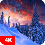 icon 7Fon Winter(Musim Dingin 4K)