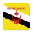 icon Brunei Radio(Stasiun Radio Brunei) 6.0.0