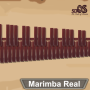 icon Marimba, Xylophone, Vibraphone Real(Marimba, Gambang, Vibraphone)