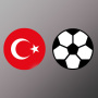 icon com.berkekocaman13.tslsimulasyon(Simulasi Liga Super Turki)