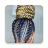 icon Afro Hairstyles(Gaya Rambut Afro
) 1.0