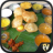 icon Indian Recipes(Resep Makanan India Offline) 2.0.3