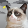 icon Grumpy Weather(Cat Pemarah Cuaca)