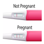 icon Pregnancy test & signs guide (Panduan tes tanda kehamilan)
