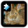 icon Rabbit(Jigsaw Puzzle: Kelinci)