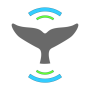 icon Whale Alert
