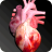 icon Circulatory System in 3D Anatomy(Sistem Peredaran Darah Anatomi 3D Ilustrasi) 1.85