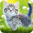 icon 7Fon Cats(Wallpaper Kucing Cute Kittens) 5.6.24