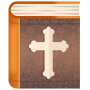icon Study Bible for young people (Belajar Alkitab untuk kaum muda)