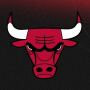 icon Chicago Bulls(banteng Chicago)