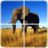 icon Animal Puzzle(Teka-teki Satwa) 1.3.7
