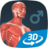 icon Human body male educational VR 3D(Tubuh manusia (pria) Adegan 3D) 1.30