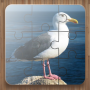 icon Bird Puzzle Games Free(Bird Puzzle Games temperatur)