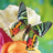 icon Butterfly Jigsaw Puzzles(Teka-teki Kupu-kupu Jigsaw) 2.12.10