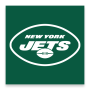 icon Jets(Jet Resmi New York)