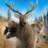 icon Deer HunterCall of the Wild(Deer Hunter - Call of the Wild) 0.12