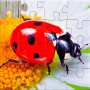 icon Insect Puzzles(Serangga Jigsaw Puzzle Game Kids)
