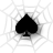 icon Spider Solitaire 1.4