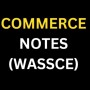 icon Commerce Notes ( WASSCE )