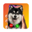icon Your Call: Screen Change(Panggilan Anda: Perubahan Layar) 1.0.6