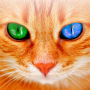 icon Translator for Cats Prank (Penerjemah untuk Kucing Prank
)