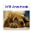 icon DVM Anesthesiology(Anestesiologi DVM) 2.34