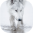 icon Wolfs live wallpaper(Serigala wallpaper hidup) 5.5