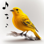 icon Bird Calls(Panggilan Burung, Suara Nada Dering)