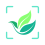 icon Florify: AI Plant Identifier (Florify: Pengidentifikasi Tanaman AI)