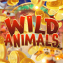 icon Wild Animals(Hewan Liar)